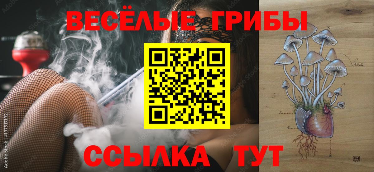 Псилоцибиновые грибы Magic Shrooms Елец